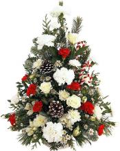 Holiday Fantasy!
